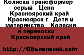  Коляска-трансформер teddy серый › Цена ­ 4 000 - Красноярский край, Красноярск г. Дети и материнство » Коляски и переноски   . Красноярский край